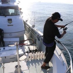 スカイマリン 釣果