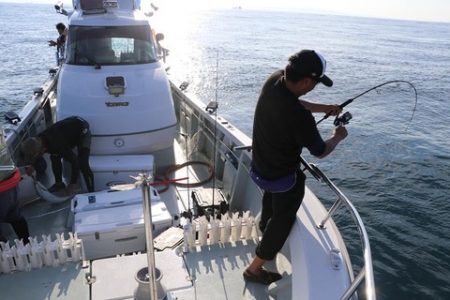 スカイマリン 釣果