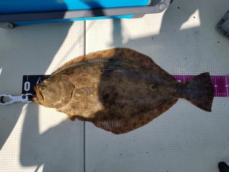 遊漁船 ニライカナイ 釣果