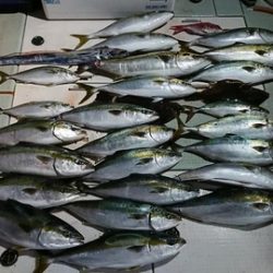 スカイマリン 釣果