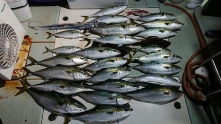 スカイマリン 釣果