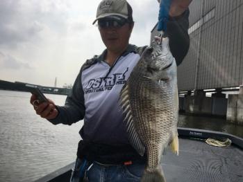 シーマジカル 釣果