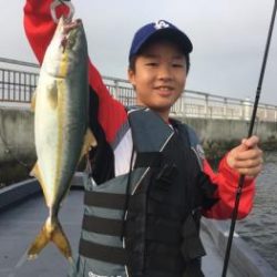 シーマジカル 釣果