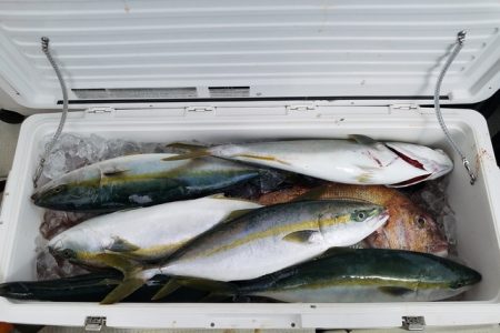 遊漁船 ニライカナイ 釣果