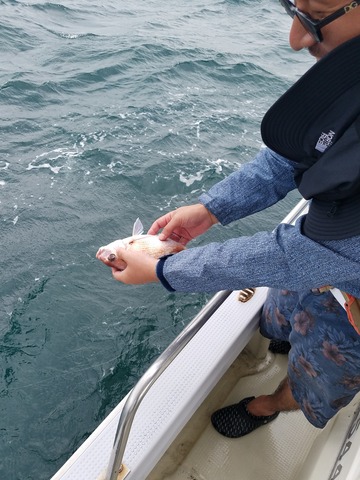 遊漁船　ニライカナイ 釣果