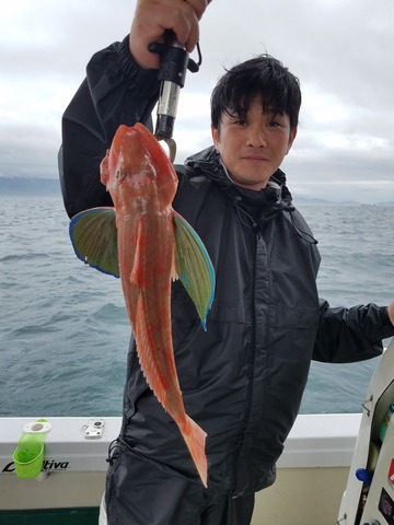 遊漁船 ニライカナイ 釣果