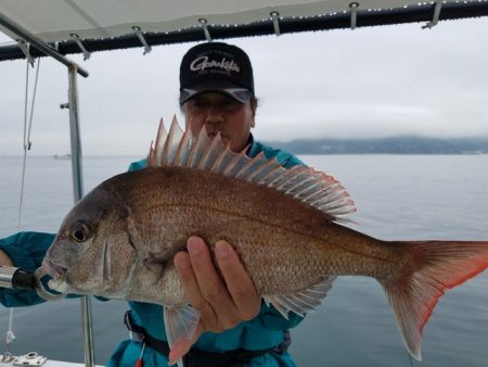 遊漁船 ニライカナイ 釣果