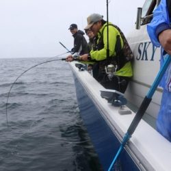 スカイマリン 釣果