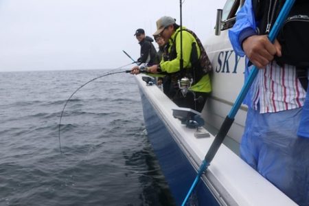スカイマリン 釣果