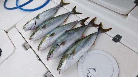 暁〜akatsuki〜 釣果