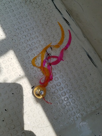 遊漁船 ニライカナイ 釣果