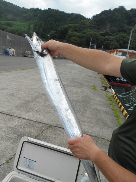 こうゆう丸 釣果