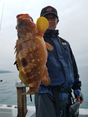 遊漁船 ニライカナイ 釣果