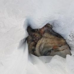 暁〜akatsuki〜 釣果