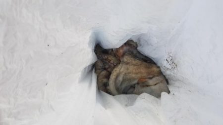 暁〜akatsuki〜 釣果