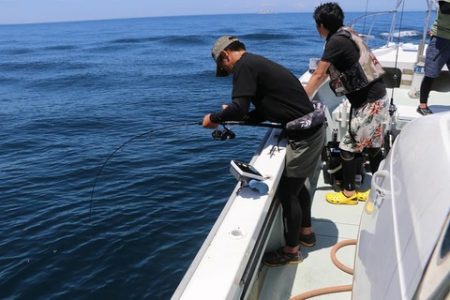スカイマリン 釣果
