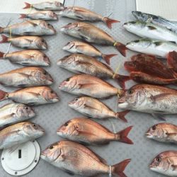 ミタチ丸 釣果