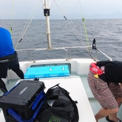 遊漁船ブルーウッズ 釣果