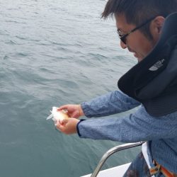 遊漁船　ニライカナイ 釣果