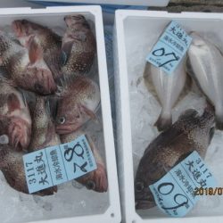 大進丸(新潟) 釣果