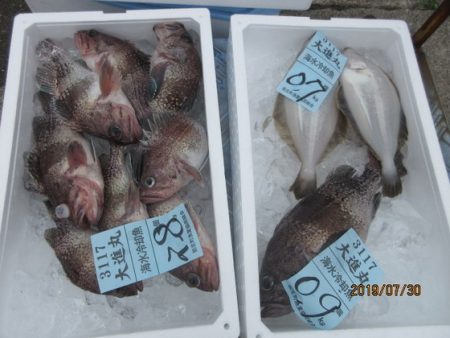 大進丸(新潟) 釣果