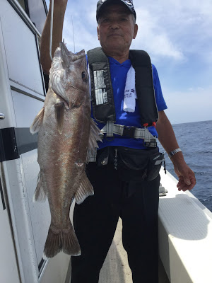凪紗丸 釣果