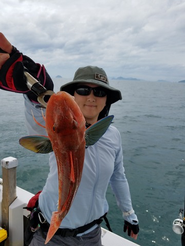 遊漁船　ニライカナイ 釣果