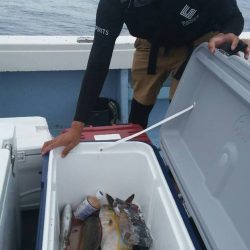 第五慶門丸 釣果