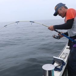 スカイマリン 釣果