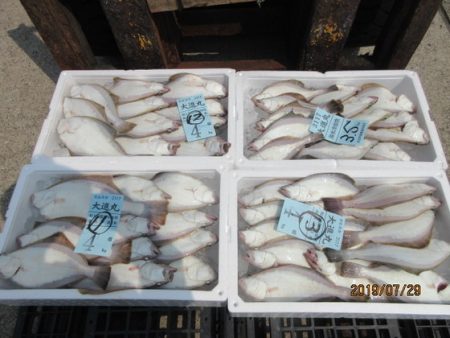 大進丸（新潟） 釣果