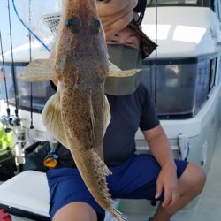 遊漁船 ニライカナイ 釣果