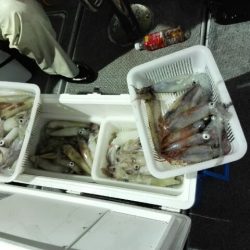 第二大福丸 釣果