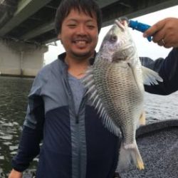 シーマジカル 釣果