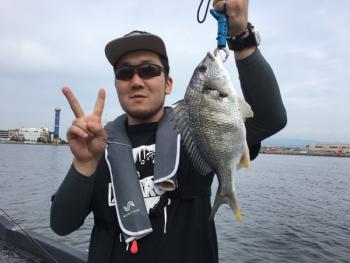 シーマジカル 釣果