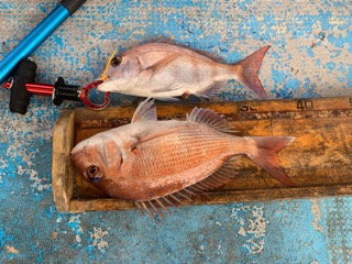 幸吉丸 釣果