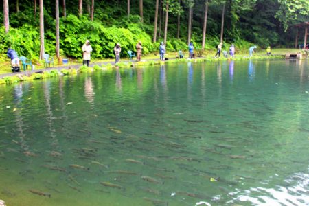 小菅トラウトガーデン 釣果