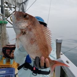 遊漁船 ニライカナイ 釣果