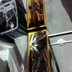 第二大福丸 釣果