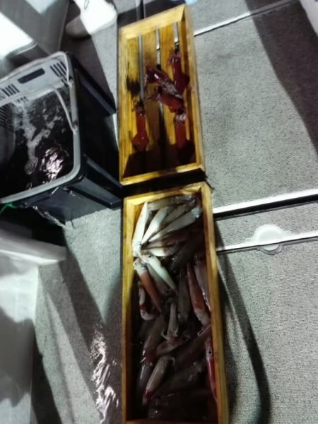 第二大福丸 釣果