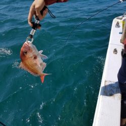 遊漁船 ニライカナイ 釣果