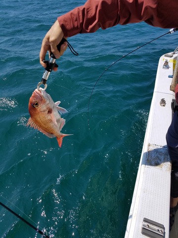 遊漁船 ニライカナイ 釣果