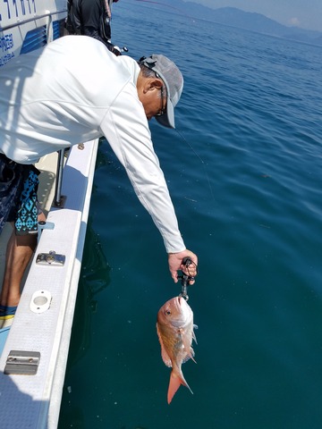 遊漁船 ニライカナイ 釣果