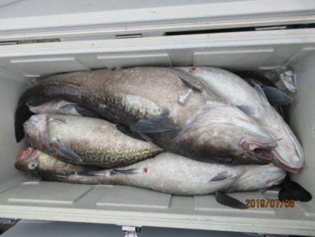 大進丸(新潟) 釣果