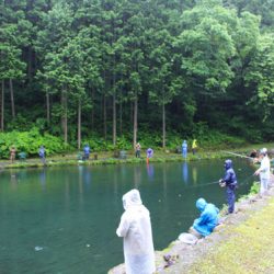 小菅トラウトガーデン 釣果