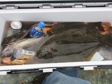 大進丸（新潟） 釣果