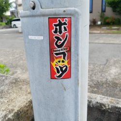 遊漁船 ニライカナイ 釣果