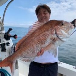 シーマジカル 釣果