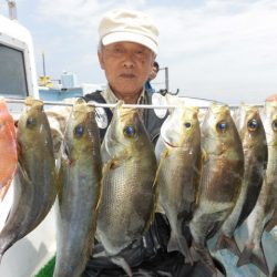 まとばや 釣果