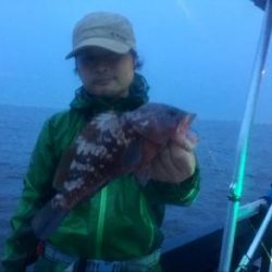 シーマジカル 釣果