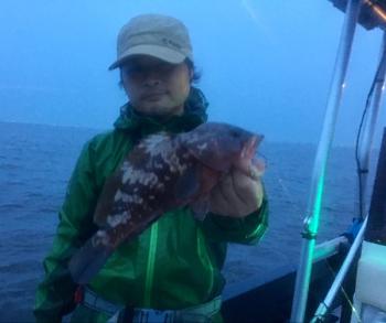 シーマジカル 釣果